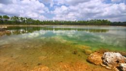 Everglades National Park - Usa