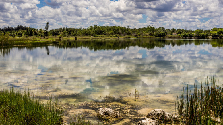 Florida Everglades Lake