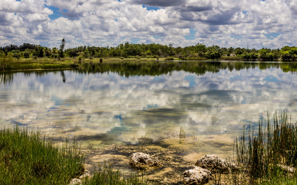 Florida Everglades Lake