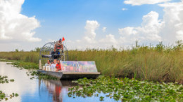 Tourists Riding An Airboat In The Everglades